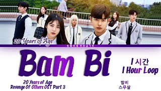 [1시간/HOUR] 20 Years of Age (스무살) - Bam bi (밤비) (3인칭 복수 OST) Revenge of Others OST 3 Lyrics/가사