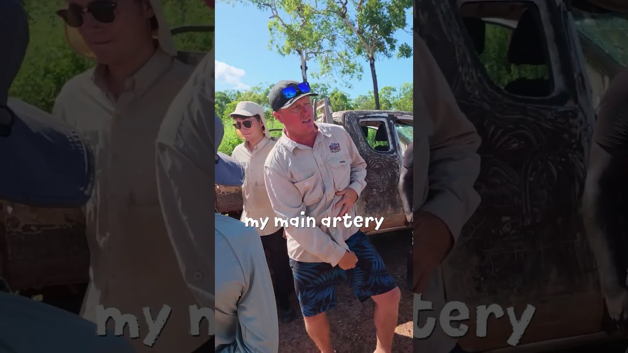 Would You Stay Here? 🐊 