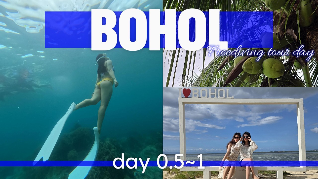 설날 연휴 무작정 보홀 여행 🌴 3박5일 Day1｜버진아일랜드·호핑투어·레드크랩
