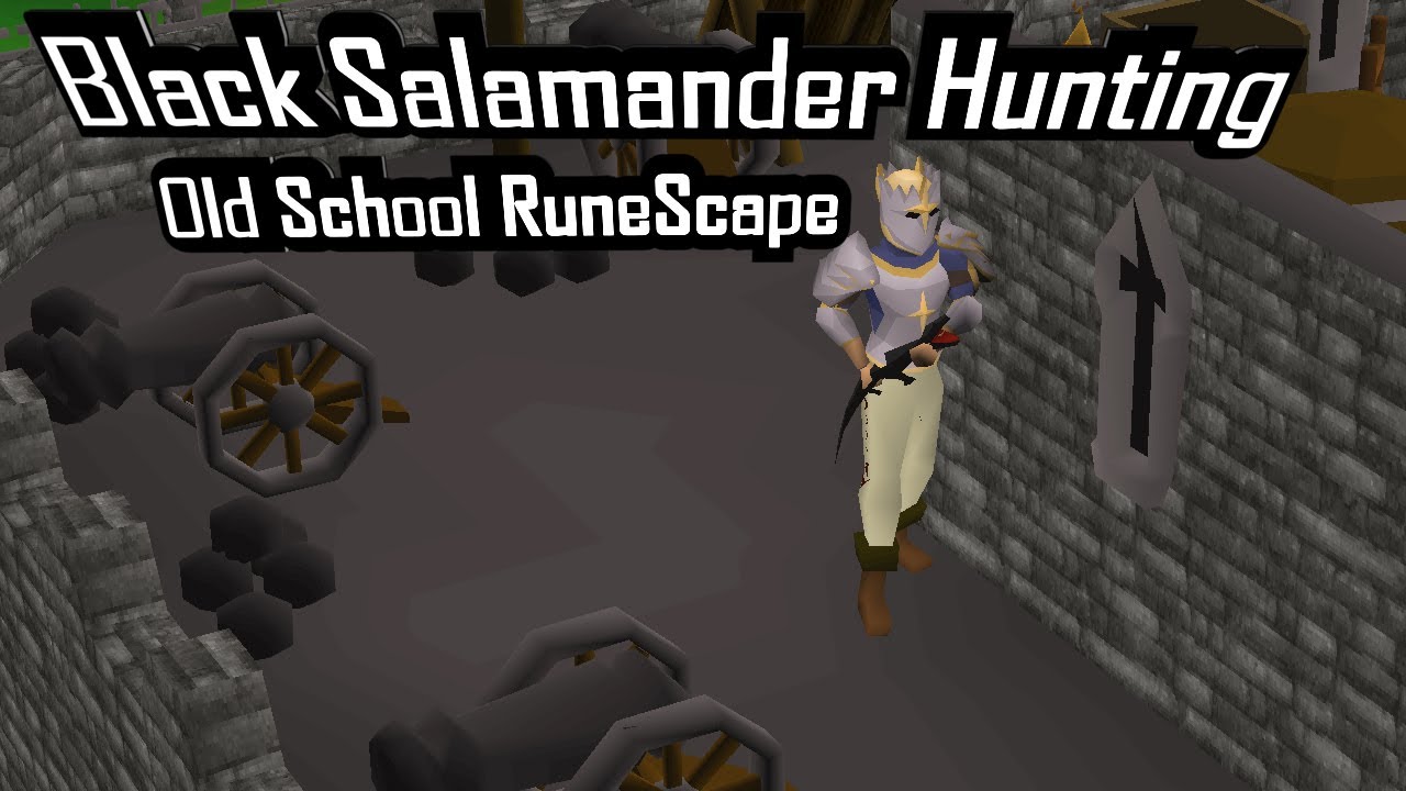 Osrs black salamander song of elves skills youtube