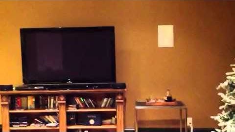 The "before" video in our wine cellar construction