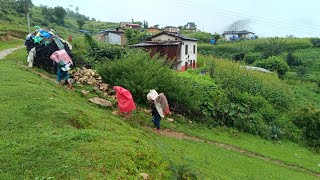 Most Peaceful and Relaxation Mountain Village Lifestyle |Heavy Rain In The Nomadic Village of Nepal|