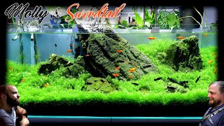 Making a 4ft Carpet Aquarium for Mollies and Swordtails screenshot 4