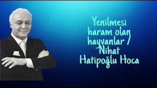Yenilmesi Haram Olan Hayvanlar Nihat Hatipoğlu Hoca