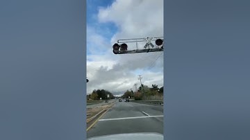 سوره الممتحنه القارئ محمد الفقيه