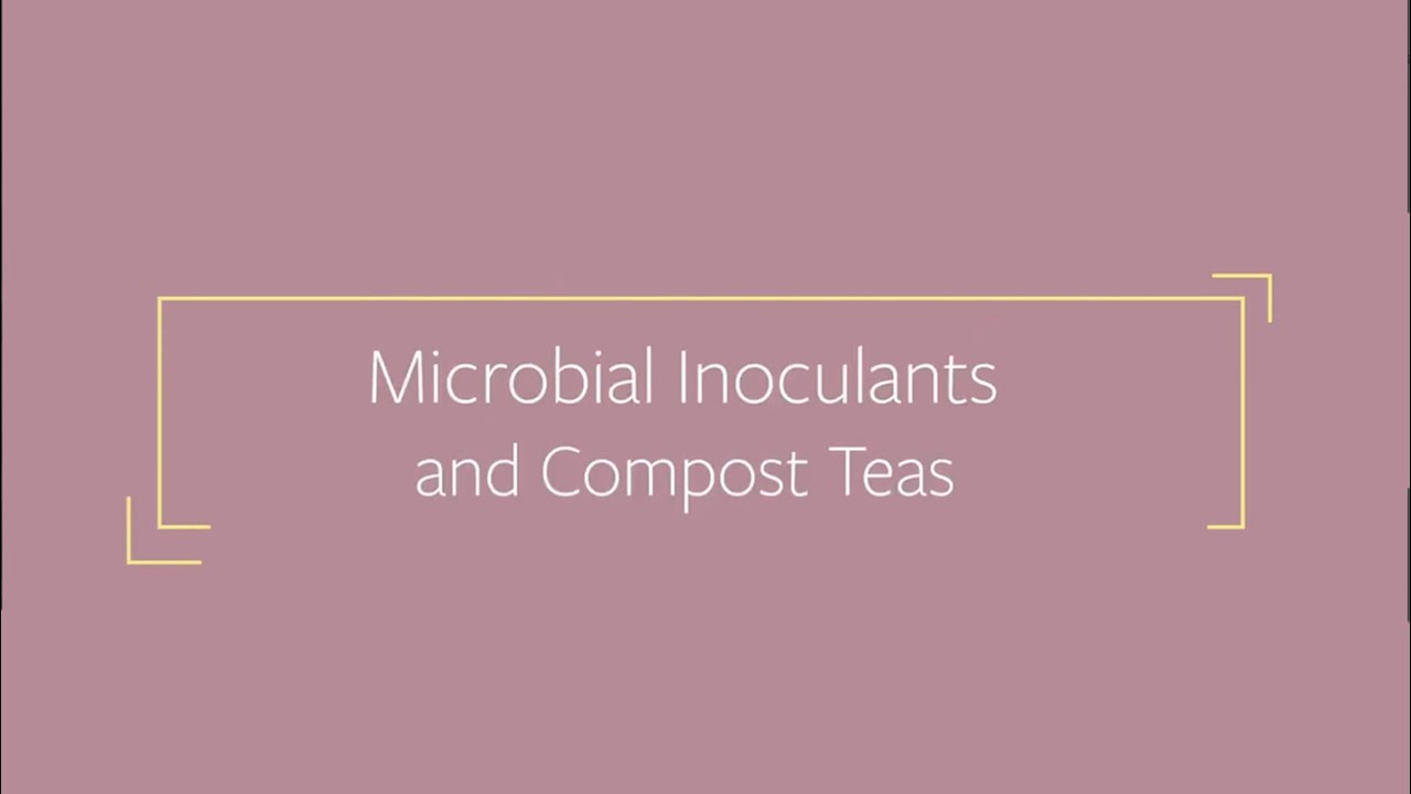 Microbial Inoculants and Compost Teas | Harley Smith's Master Growers Series