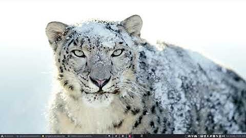 ArcoLinux : 1629 How to install ArcoLinux on Vmware workstation 16 on ArcoLinux or Arch Linux