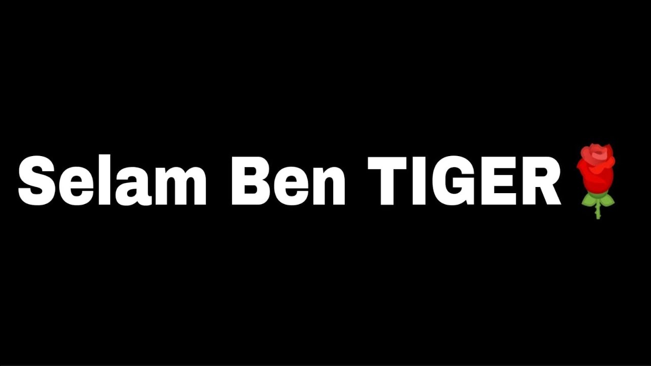 selam-ben-tiger-youtube