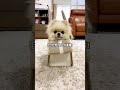 お出掛けバックを用意すると…⁉︎