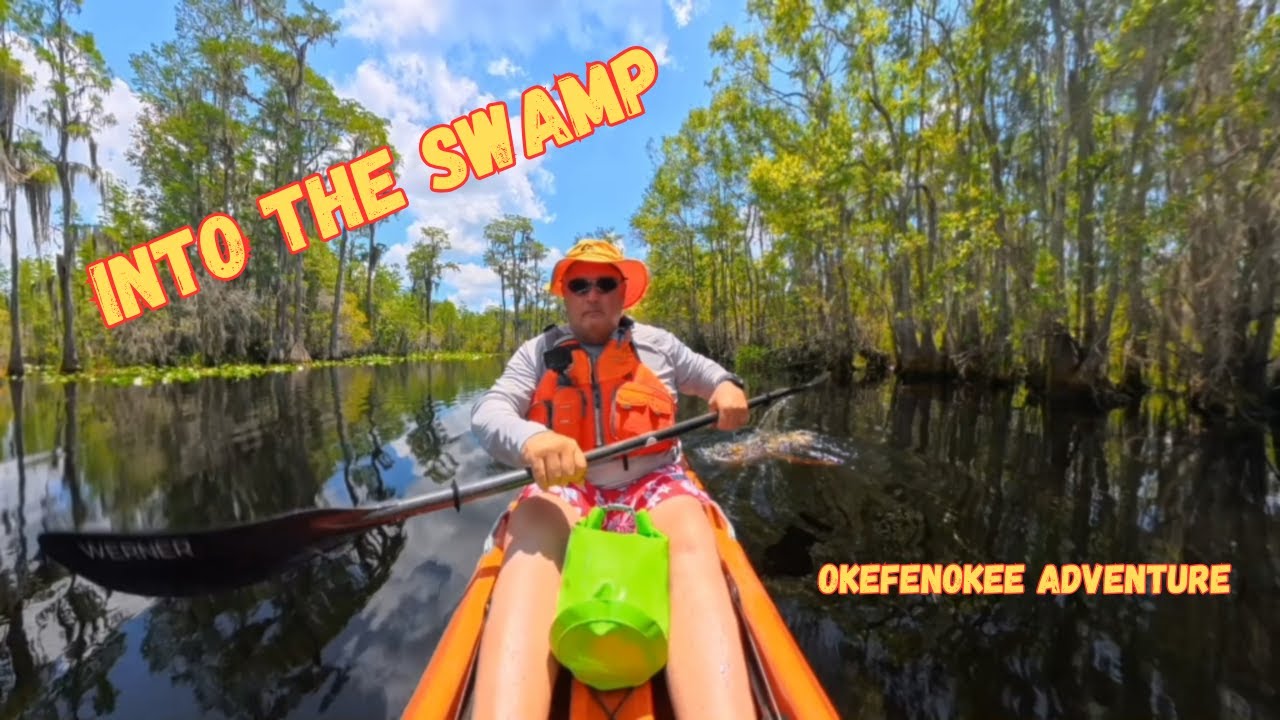 Kayaking the Okefenokee Swamp – Alligators, Wildflowers & Reflections