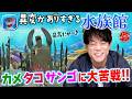 【異変がありすぎる水族館!!】異変がありすぎるシリーズ最新作!!カメタコサンゴに異変がいっぱい!!