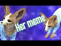 Meme gift for starshinex yt 