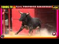 CONCURSO DE TOROS y ganaderías ❤️🐂▶️ TOROS TV TURIS 2021