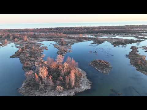 Springtime Drone Flight