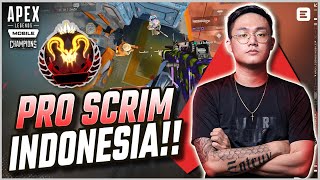 SCRIM PRO PLAYER - APEX LEGENDS MOBILE