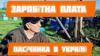 ✅Чи зросте зарплата працівників бджільництва?