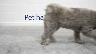 Sebo X7 Upright Vacuum Cleaner Easy Pet Hair Pick Up From Carpet In Australian Homes