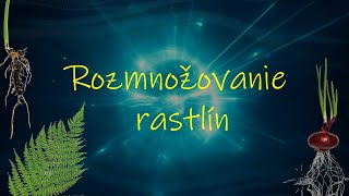 Rozmnožovanie rastlín