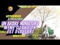 Tuto comment raliser un arbre miniature de faon trs simple