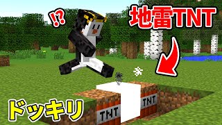 初心者に絶対にバレない最強のTNTドッキリをする【マイクラ】