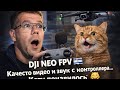 DJI NEO FPV 🚁 Качество видео и звук с контроллера… Коту понравилось 😄