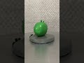 Жирная свинья из angry birds #фигуркиизпластилина #angrybirds
