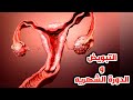 شاهد كيف يحدث التبويض والدوره الشهريه للنساء بشكل علمي متكامل Ovulation And Menstrual Cycle 