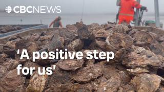 Could this breakthrough help fight oyster diseases in the Maritimes?