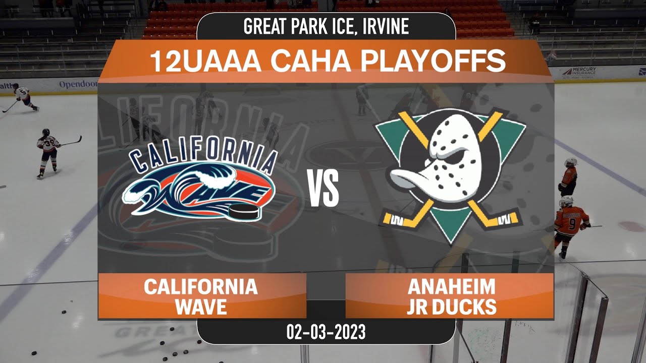 12UAAA CAHA Playoffs 2010AAA Anaheim Jr Ducks vs California Wave (02