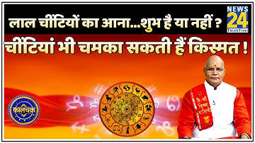 Kaalchakra: घर में काली और लाल चींटियों का आना…शुभ है या नहीं ? चींटियां भी चमका सकती हैं किस्मत !