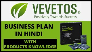 Vevetos Plan | Vevetos Business Plan In Detail | 11 Types Of Income | Vevetos Presentation screenshot 4
