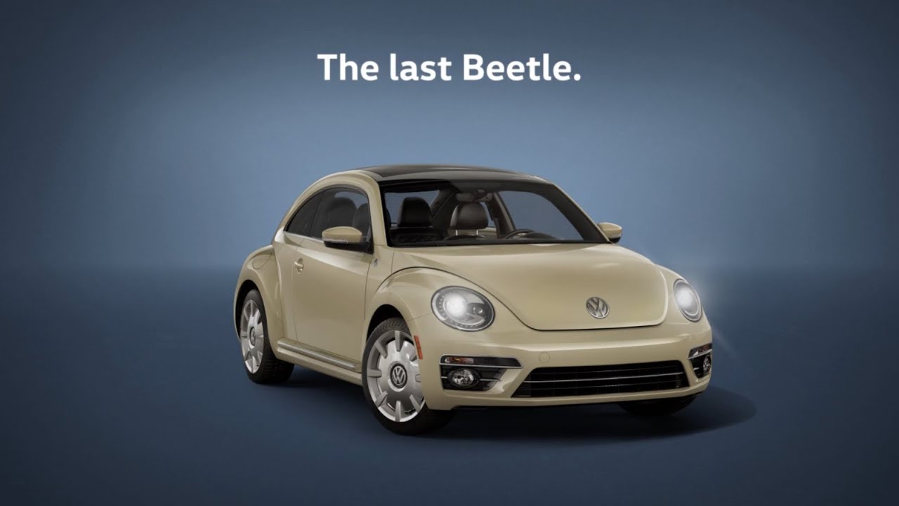 Bumblebee volkswagen beetle