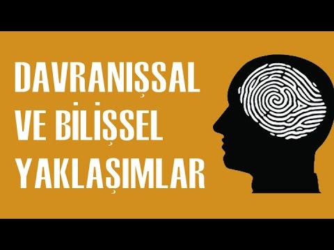 Video: İnsan Bilişsel Etkinliği