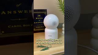 C518 AI Tracking Cam: Home in Full View 🏡🐱#shorts #shortvideo