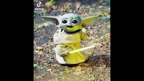 bitches come and go bruh but you know I stay baby Yoda mandalorian
