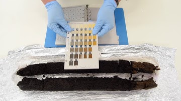 How to Use a Munsell Colour Chart