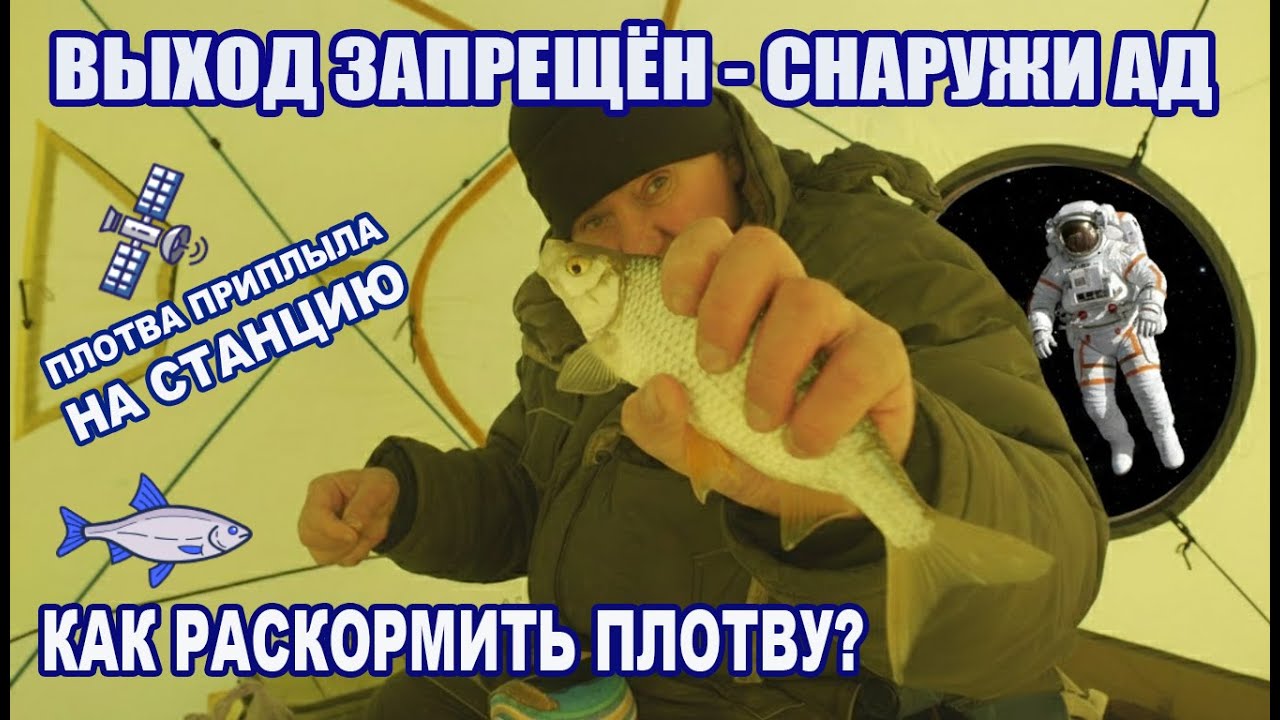 Я заперся в жёлтой космостанции и нашёл плотвинный Эльдорадо!