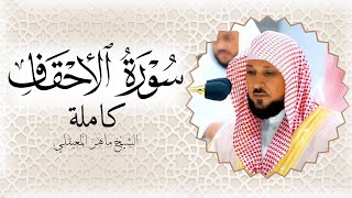 سورة الأحقاف الشيخ ماهر المعيقلي