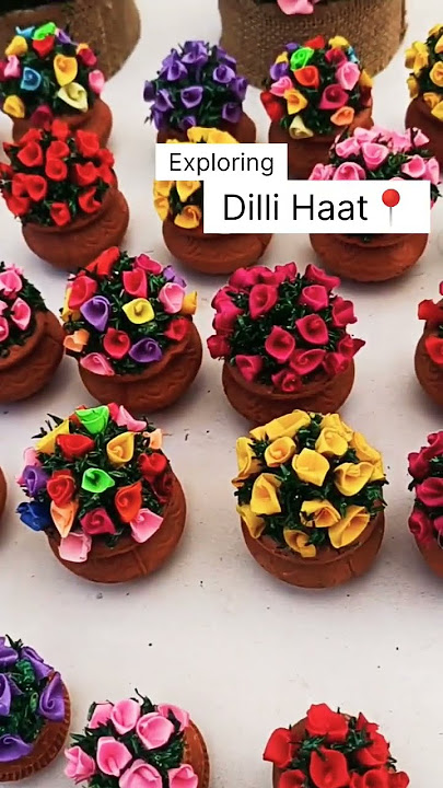 Beautiful Dilli Haat | Delhi Haat #artisticdelights #delhivibes #indianculture#culturaltreasures