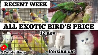 recent week all exotic birds price update|gallif Street bird market|uluberia pet market|Kolkata pet