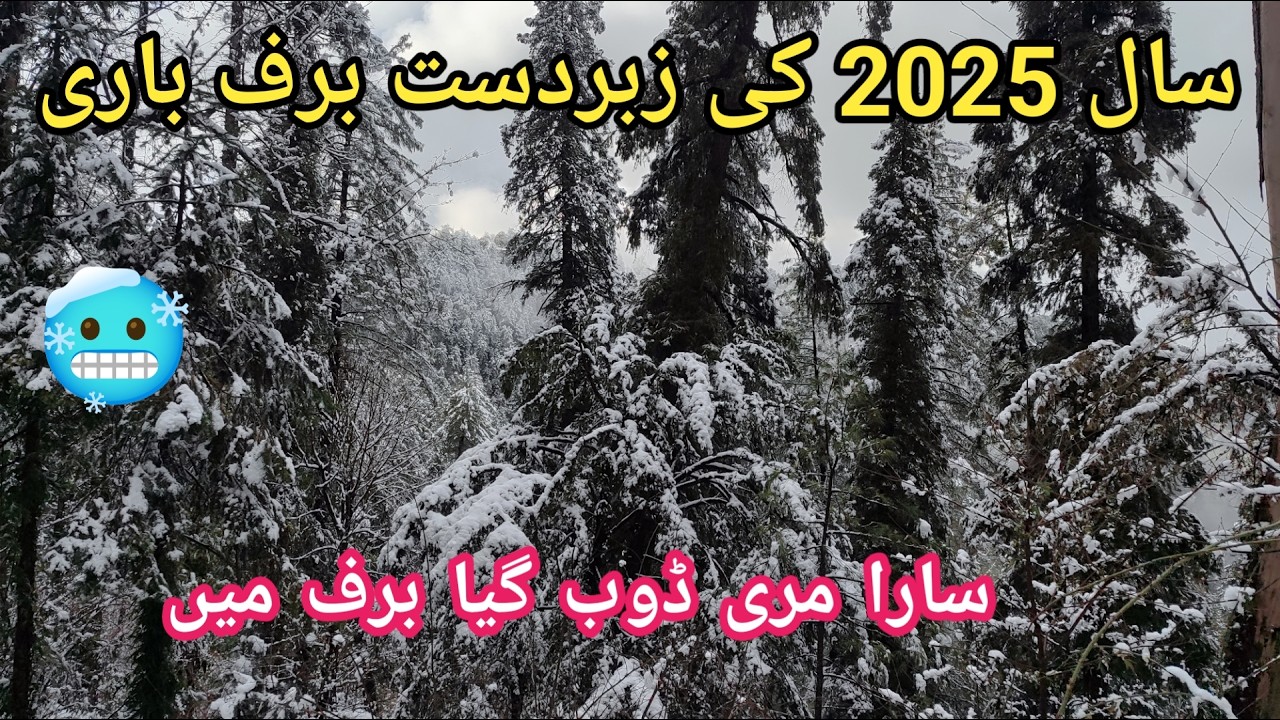 Murree live snowfall  |Murree snowfall  | murree snowfall update| Murree update |murree snow fall