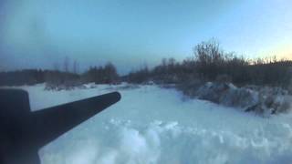 Coyote Kill - Holden Mass