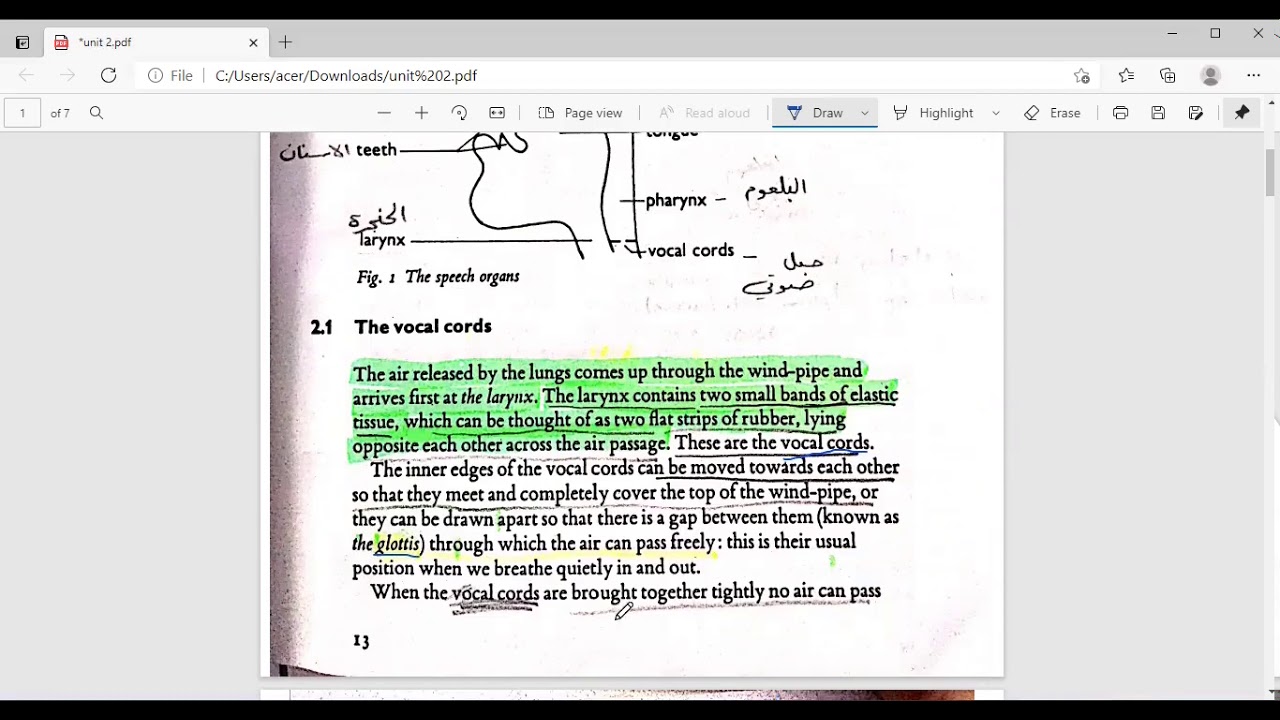 لغات انكليزي مرحلة اولى مادة الصوت محاضرة الفصل الثاني  Pronunciation 6