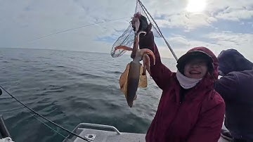 Cảnh đi biển câu mực đẹp mắt ở Úc #squid #squidfishing