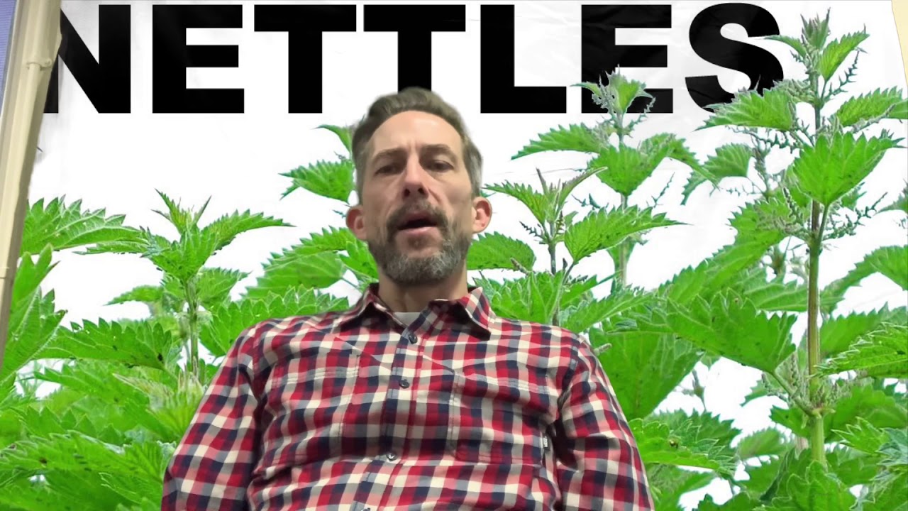 Nettles by Vernon Scannell - YouTube