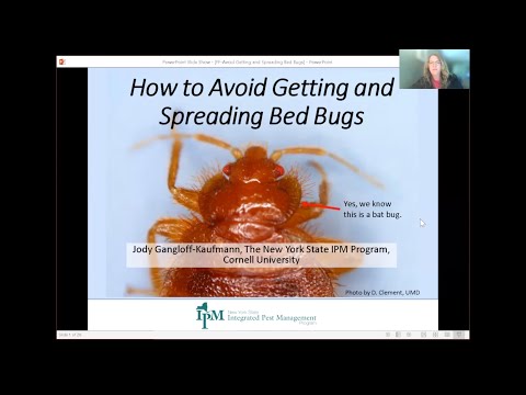 Avoid getting and spreading bed bugs | Identifying sources of clothes moths 12/3/2021