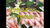 白子と内臓脂肪で膨れ上がっているの寒グレ メジナ 旬の海水魚紹介 和歌山 釣太郎 Youtube 白子と内臓脂肪で膨れ上がっているの寒グレ メジナ 旬の海水魚紹介 和歌山 釣太郎 Youtube