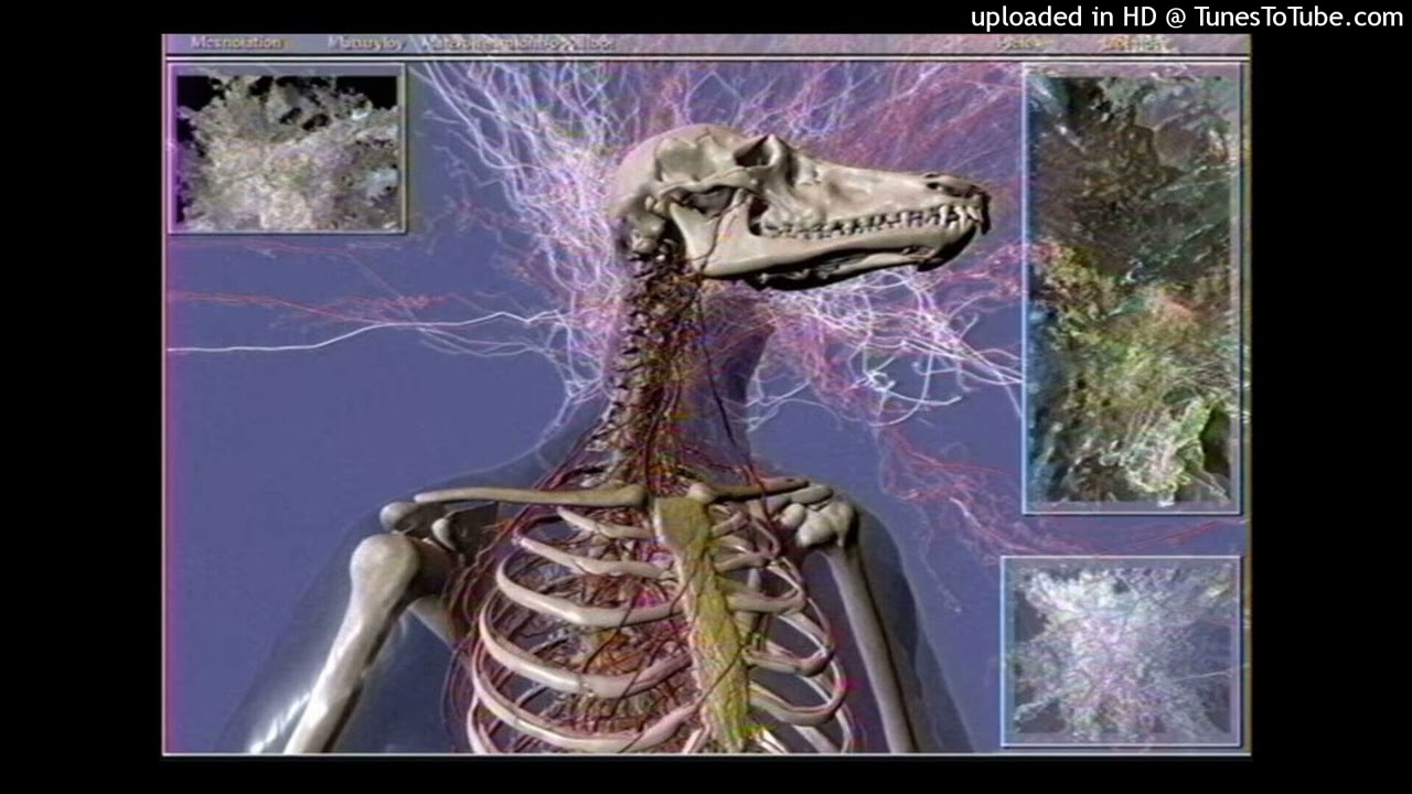 RYOICHI! X RYOICHI! X RYOICHI! X RYOICHI! TYPE BEAT 