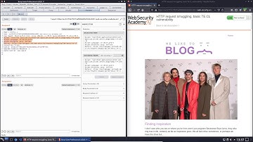 HTTP request smuggling, basic TE.CL vulnerability (Video solution, Audio)