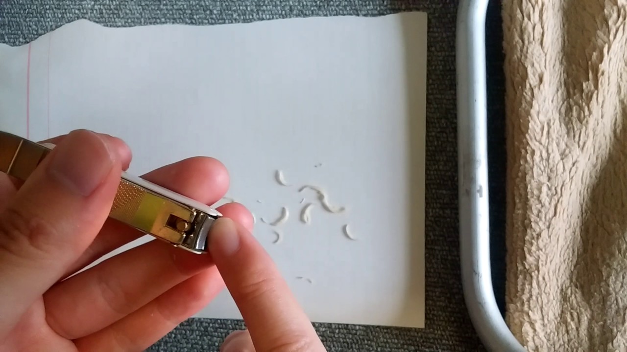 爪きりしてみた ヤスリで研ぐ使い方も紹介 Youtube 爪きりしてみた ヤスリで研ぐ使い方も紹介 Youtube